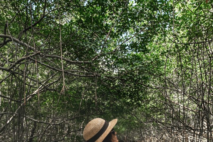 a person standing in front of a tree