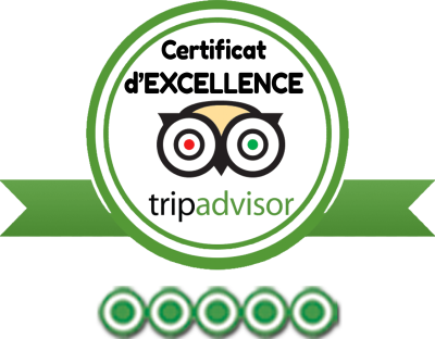 tripadvisor graphical user interface, application